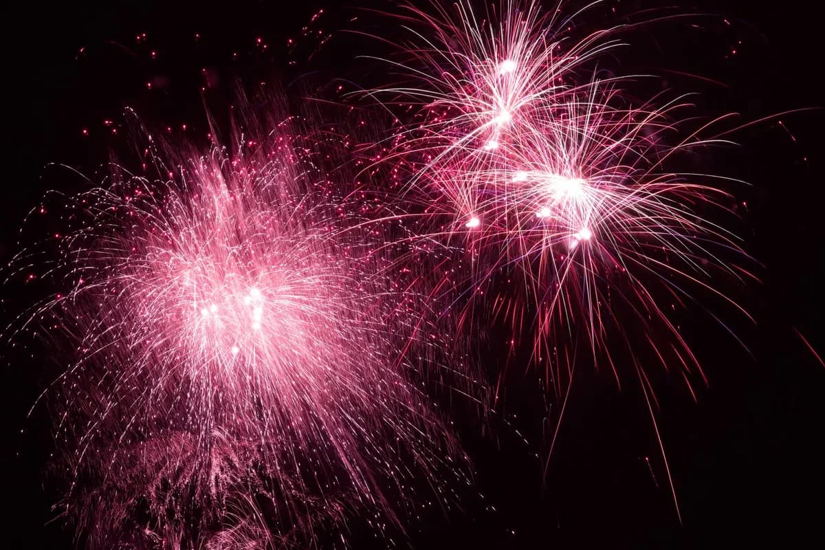 Pink fireworks filling a dark night sky